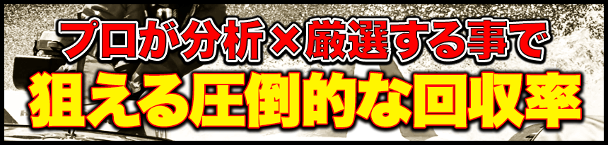 プロが分析×厳選する事で狙える圧倒的な回収率